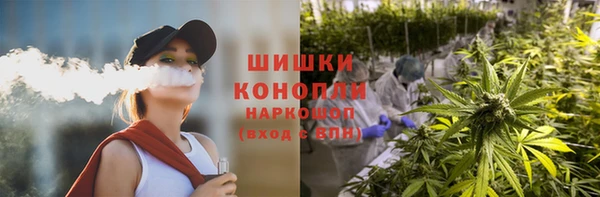 ГАЛЛЮЦИНОГЕННЫЕ ГРИБЫ Алзамай