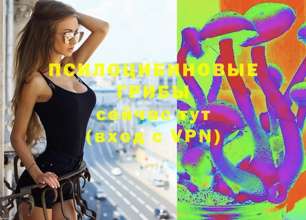 ГАЛЛЮЦИНОГЕННЫЕ ГРИБЫ Алзамай