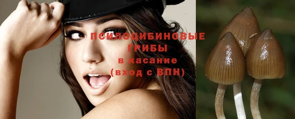 ГАЛЛЮЦИНОГЕННЫЕ ГРИБЫ Алзамай