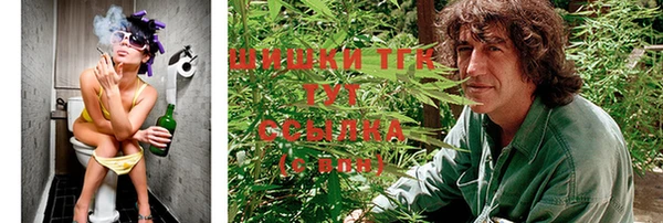 ГАЛЛЮЦИНОГЕННЫЕ ГРИБЫ Алзамай