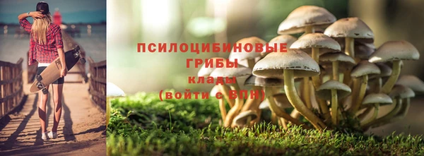 ГАЛЛЮЦИНОГЕННЫЕ ГРИБЫ Алзамай