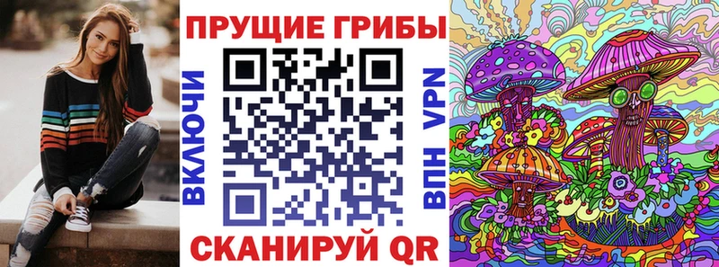 кракен онион  наркота  Боровичи  Псилоцибиновые грибы Cubensis 