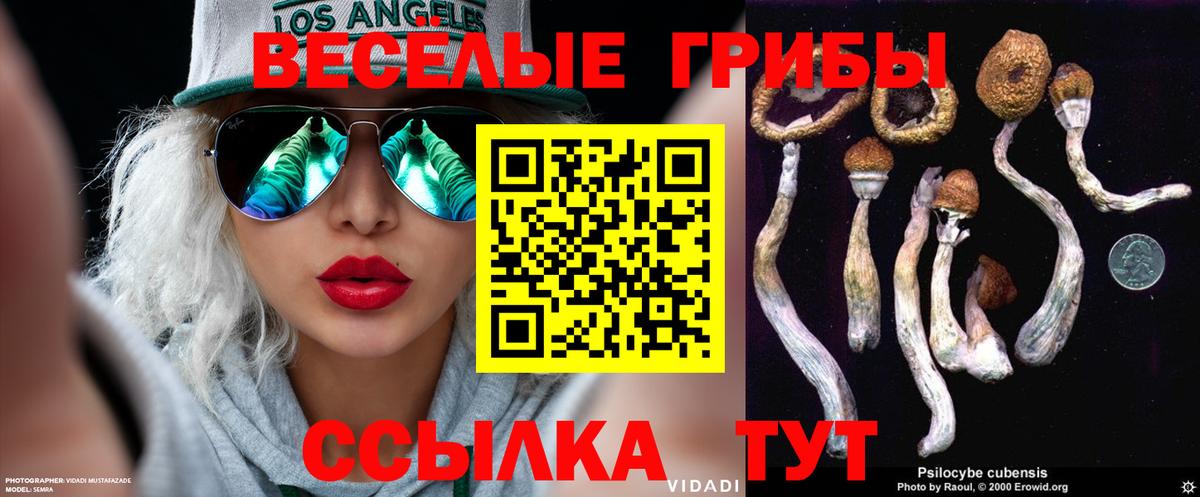 Галлюциногенные грибы Cubensis Боровичи
