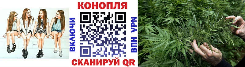 Канабис марихуана  где можно купить   Боровичи 